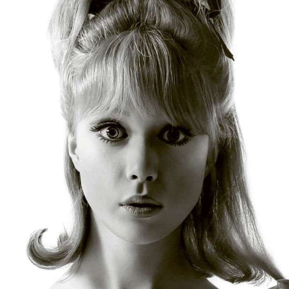 Meet your Posher, Lindsay